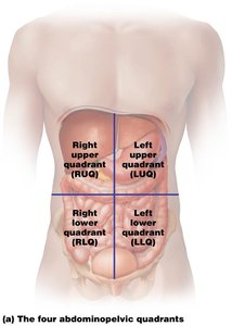 Abdominopelvic nine regions