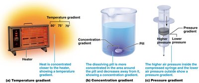 Examples of gradients