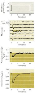 Comparison of macroscopic and microscopic currents