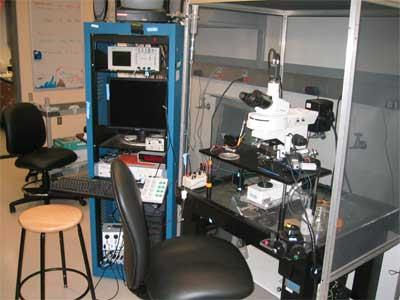 Patch-clamp setup for cellular electrophysiology