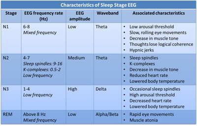 Characteristics of Sleep Stage EEG