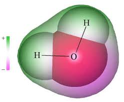 Water molecule showing polarity