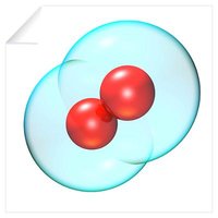 Oxygen molecule
