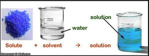 Solute and solvent forming a solution