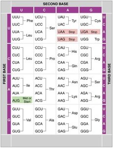 Genetic code table
