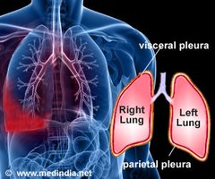 Pleura: visceral and parietal layers around the lungs