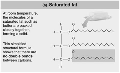 Saturated fat structure