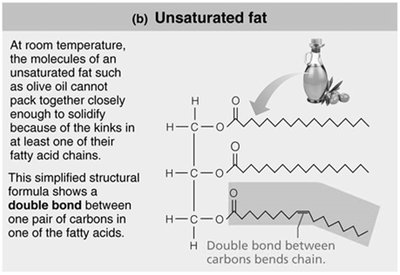 Unsaturated fat structure