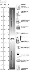 The pH scale and pH values of representative substances