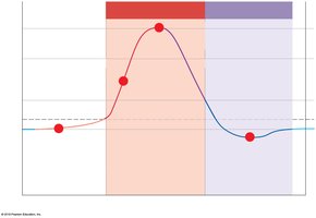 Absolute and relative refractory periods