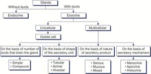 Gland classification chart