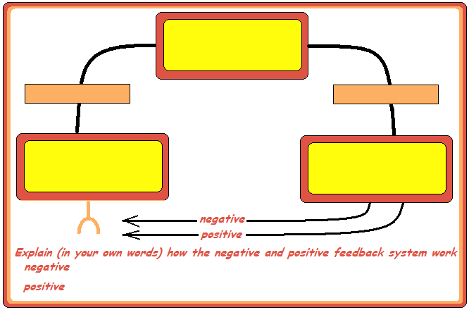 Feedback mechanism diagram