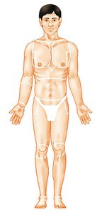 Anatomical position