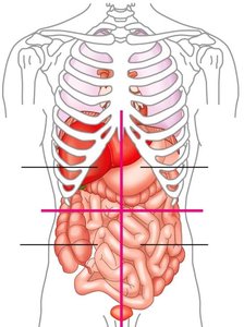 Abdominopelvic quadrants