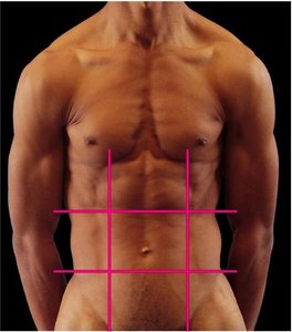 Abdominopelvic regions on human body