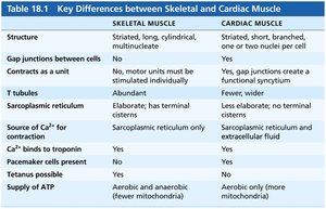 Table comparing skeletal and cardiac muscle