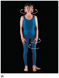 Rotation of the head, neck, and lower limb