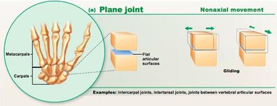 Plane joint and gliding movement