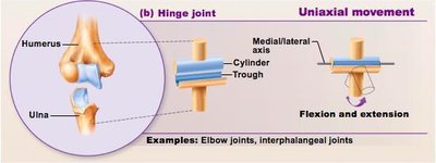 Hinge joint and uniaxial movement