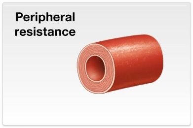 Peripheral resistance