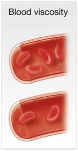 Blood viscosity