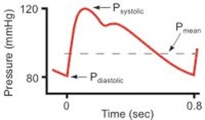 Pressure in vessel