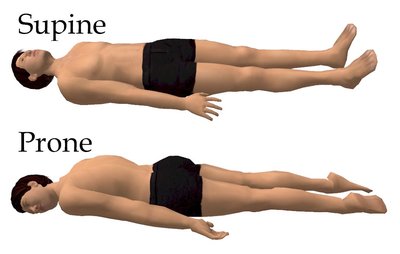 Supine and prone positions
