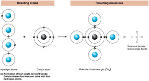 Formation of nitrogen gas (N2) via triple covalent bond