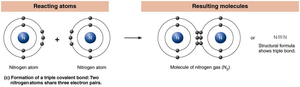 Formation of oxygen gas (O2) via double covalent bond
