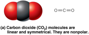 CO2 molecule: linear and nonpolar