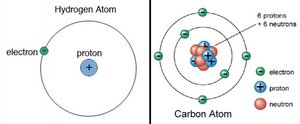 Hydrogen and Carbon atom models