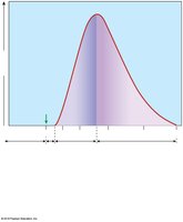 Myogram of a muscle twitch