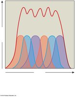 Tension in tendon from motor unit activity
