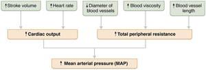 Factors affecting mean arterial pressure