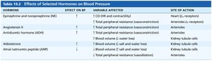 Table of hormone effects on blood pressure