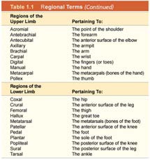 Regional terms diagram