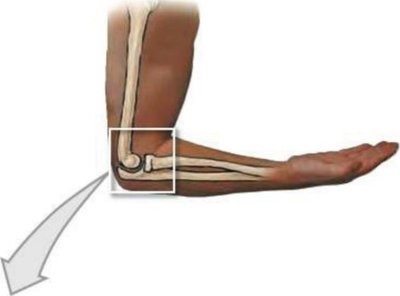 Elbow joint structure