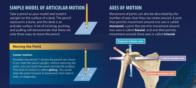 Simple model of articular motion and axes of motion