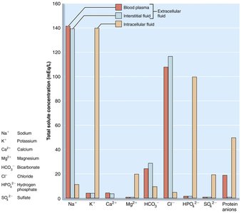 Electrolyte composition of blood plasma, interstitial fluid, and intracellular fluid