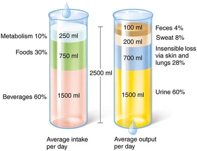 Major sources of water intake and output