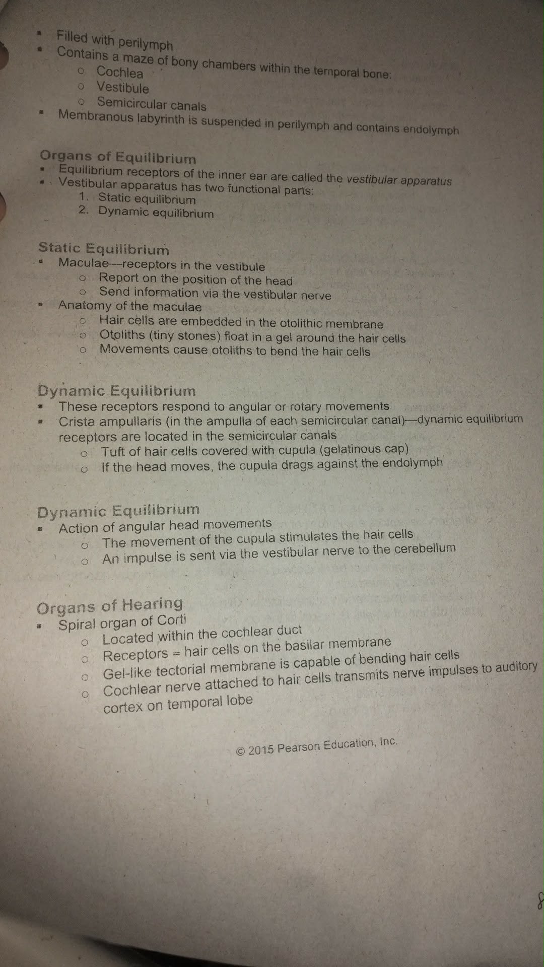 Inner ear anatomy and equilibrium structures