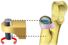 Pivot joint