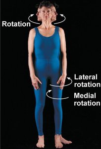 Rotation movements