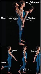 Flexion, extension, and hyperextension
