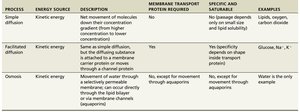 Summary table of passive membrane transport processes