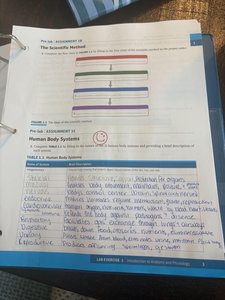 Table of human body systems and handwritten notes