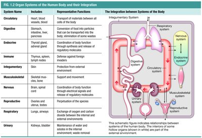 Anatomy & Physiology Study Guide: Key Concepts Explained | Notes