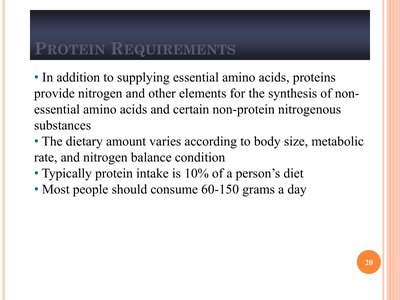 Amination and amino acid synthesis