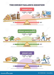 Energy balance equation