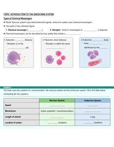 Types of chemical messengers and endocrine signaling